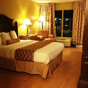 Queen Room Pool View Lake View